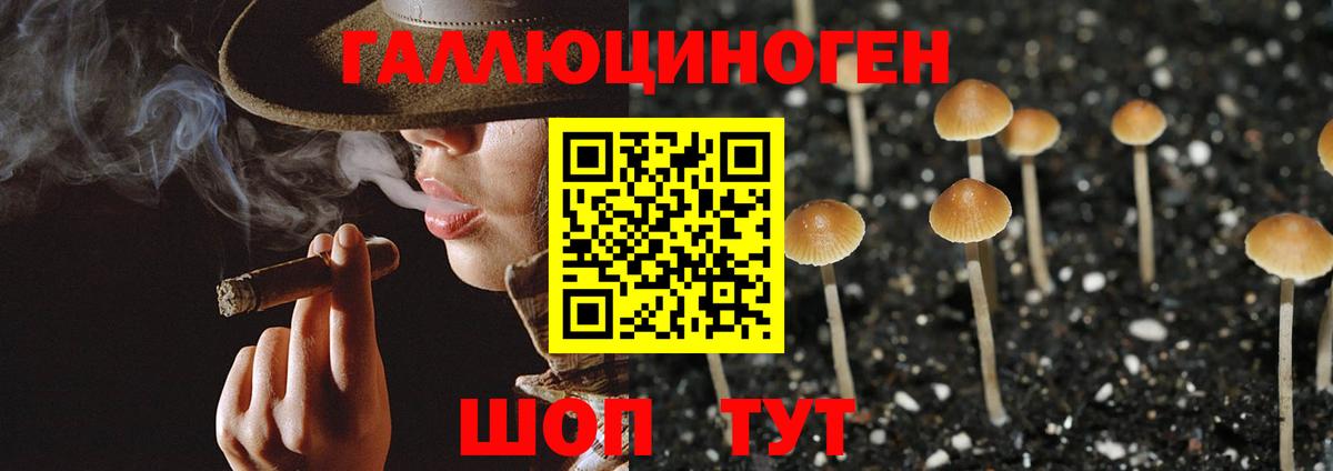 Галлюциногенные грибы GOLDEN TEACHER  Вход с VPN  Лениногорск 